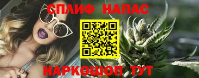 прущие грибы Бийск