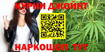прущие грибы Бийск