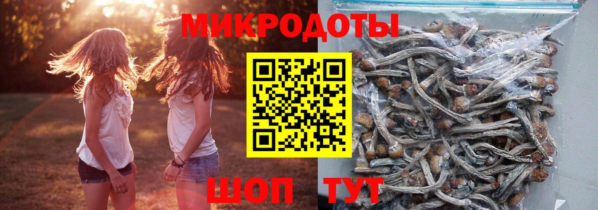 Галлюциногенные грибы MAGIC MUSHROOMS Бийск