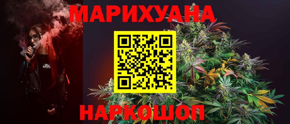 Канабис Bruce Banner  Конопля план  Бийск  Вход с VPN  Бошки марихуана THC 21%  Каннабис индика 